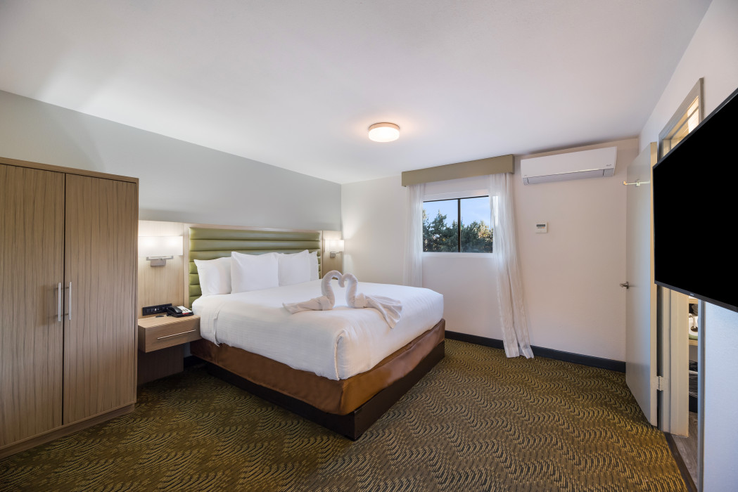 1 King Bed Suite