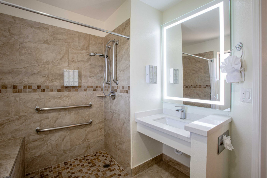1 King Bed Accessible Room