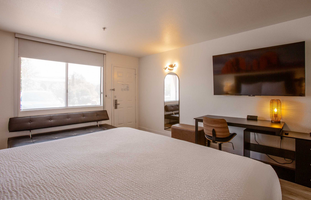 Deluxe King Bed with Futon Sleeper